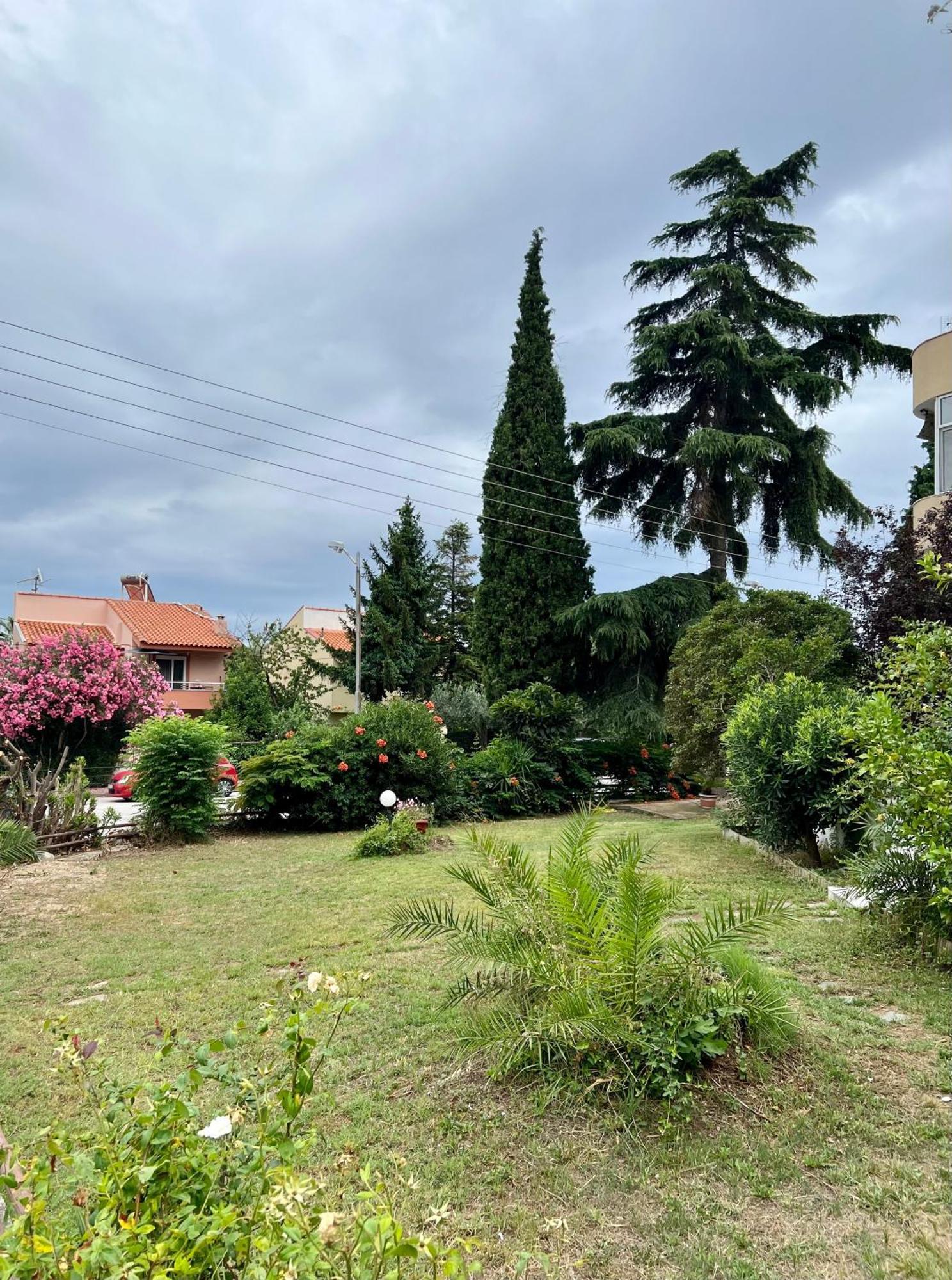 Anemos Apartment Palio ปาเลออน ซิฟลิคิออน ภายนอก รูปภาพ